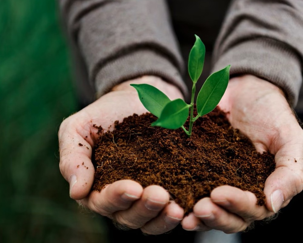 AHA Sustainability Report